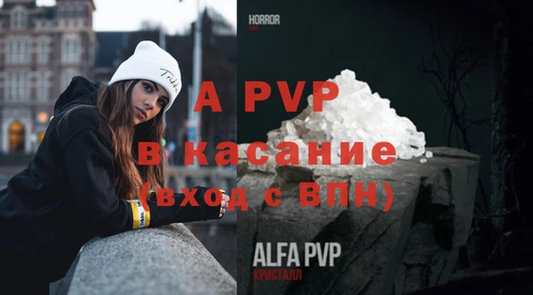 спиды Абаза