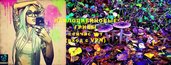 МДПВ Алексин