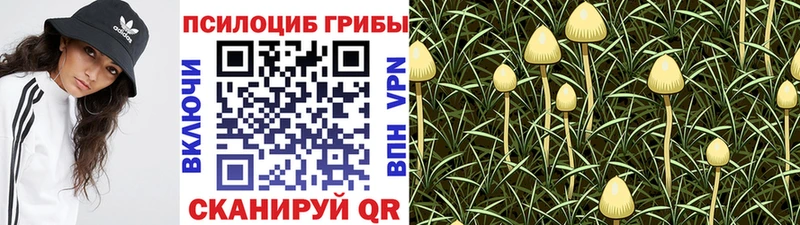 Псилоцибиновые грибы ЛСД  Хадыженск 